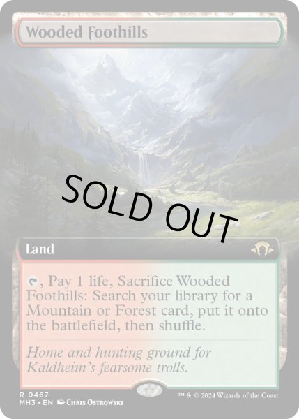 画像1: 【ENG】★Extended-Art Foil★樹木茂る山麓/Wooded Foothills[MTG_MH3_0467_R] (1)