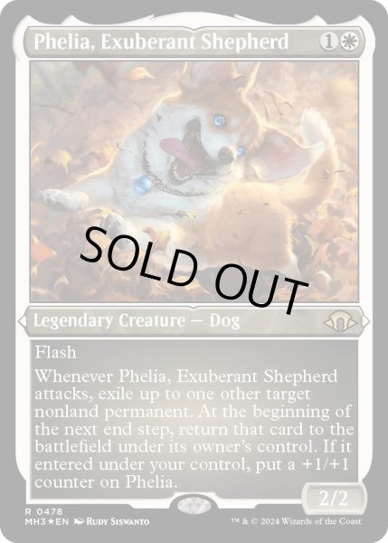 画像1: 【ENG】★Etching Foil★溌剌の牧羊犬、フィリア/Phelia, Exuberant Shepherd[MTG_MH3_0478_R] (1)