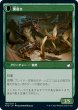 画像2: 【JPN】鳥の称賛者/翼裂き/Bird Admirer/Wing Shredder[MTG_MID_169C] (2)