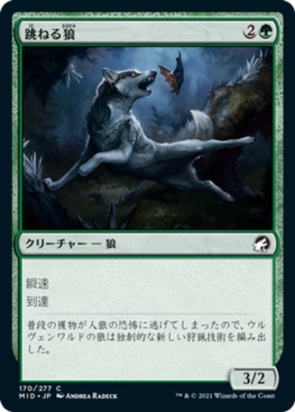 画像1: 【JPN】跳ねる狼/Bounding Wolf[MTG_MID_170C] (1)