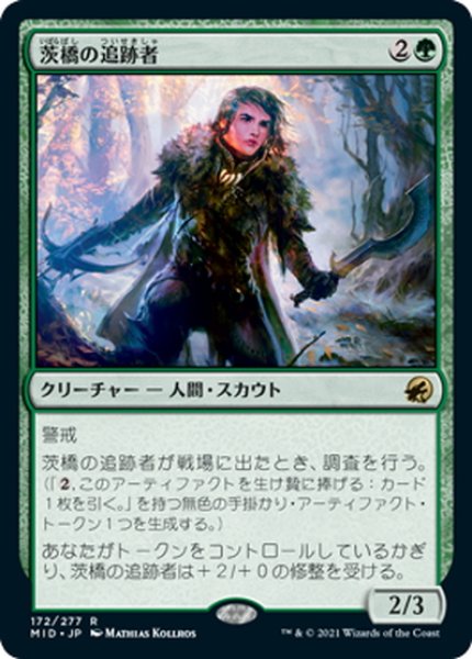 画像1: 【JPN】茨橋の追跡者/Briarbridge Tracker[MTG_MID_172R] (1)