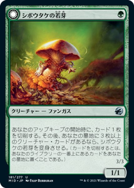 画像1: 【JPN】シボウタケの若芽/巨大シボウタケ/Deathbonnet Sprout/Deathbonnet Hulk[MTG_MID_181U] (1)