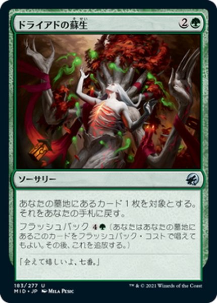 画像1: 【JPN】ドライアドの蘇生/Dryad's Revival[MTG_MID_183U] (1)