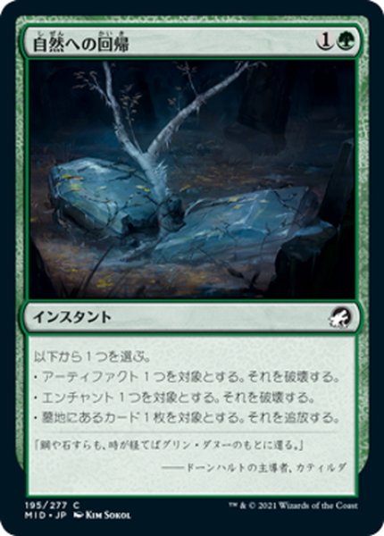 画像1: 【JPN】自然への回帰/Return to Nature[MTG_MID_195C] (1)