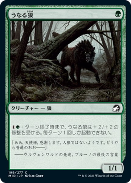 画像1: 【JPN】うなる狼/Snarling Wolf[MTG_MID_199C] (1)