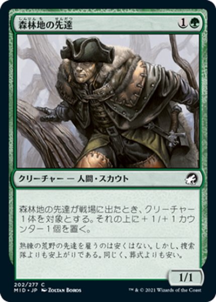 画像1: 【JPN】森林地の先達/Timberland Guide[MTG_MID_202C] (1)