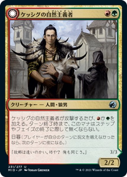 画像1: 【JPN】ケッシグの自然主義者/ウルヴェンワルドの王/Kessig Naturalist/Lord of the Ulvenwald[MTG_MID_231U] (1)