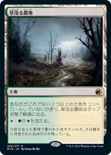 画像1: 【JPN】草茂る農地/Overgrown Farmland[MTG_MID_265R] (1)