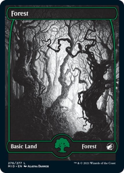 画像1: 【JPN】森/Forest[MTG_MID_276L] (1)