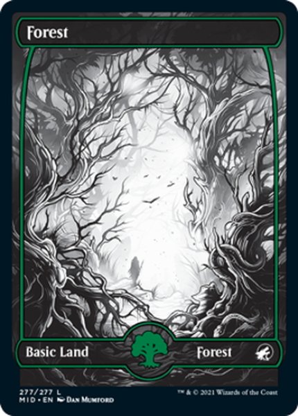 画像1: 【ENG】森/Forest[MTG_MID_277L] (1)