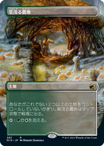 画像1: 【JPN】草茂る農地/Overgrown Farmland[MTG_MID_283R] (1)