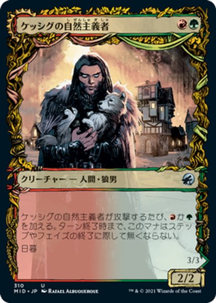 画像1: 【JPN】ケッシグの自然主義者/ウルヴェンワルドの王/Kessig Naturalist/Lord of the Ulvenwald[MTG_MID_310U] (1)