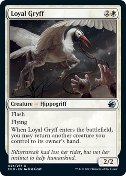 画像1: 【ENG】忠実なグリフ/Loyal Gryff[MTG_MID_026U] (1)