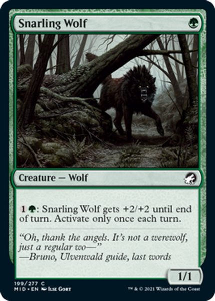 画像1: 【ENG】うなる狼/Snarling Wolf[MTG_MID_199C] (1)