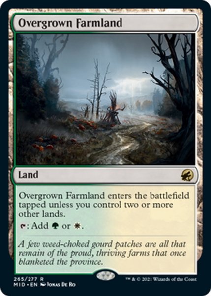 画像1: 【ENG】草茂る農地/Overgrown Farmland[MTG_MID_265R] (1)