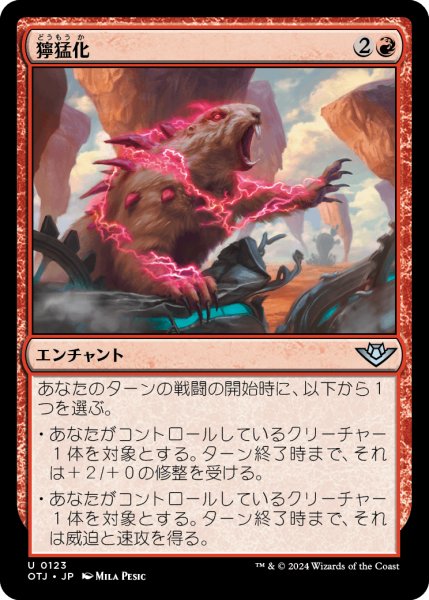 画像1: 【JPN】獰猛化/Ferocification[MTG_OTJ_0123_U] (1)