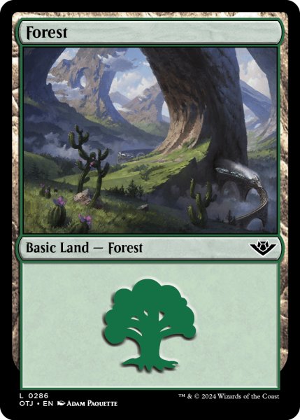 画像1: 【ENG】森/Forest[MTG_OTJ_0286_L] (1)