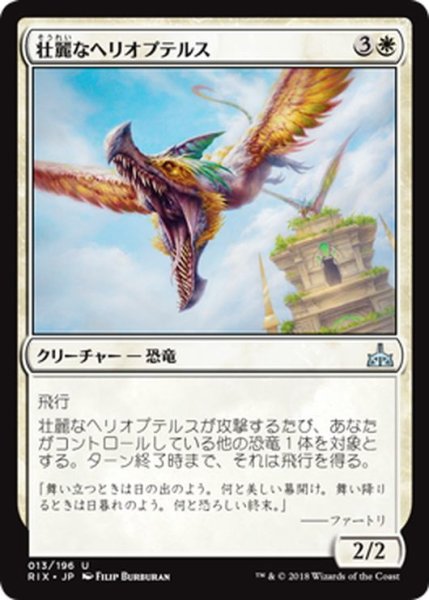 画像1: 【JPN】壮麗なヘリオプテルス/Majestic Heliopterus[RIX_013U] (1)