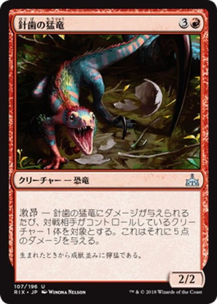 画像1: 【JPN】針歯の猛竜/Needletooth Raptor[RIX_107U] (1)