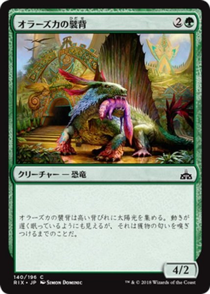 画像1: 【JPN】オラーズカの襞背/Orazca Frillback[RIX_140C] (1)