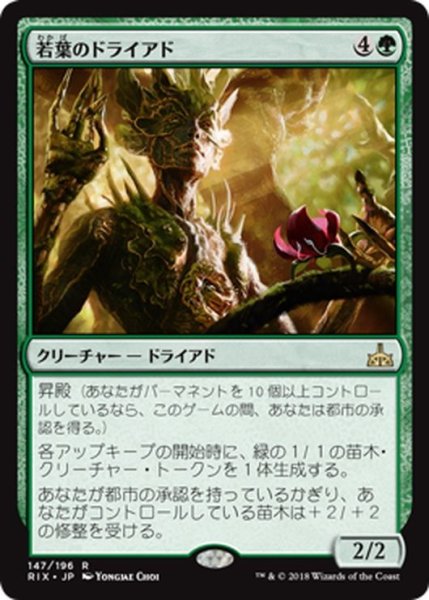 画像1: 【JPN】若葉のドライアド/Tendershoot Dryad[RIX_147R] (1)