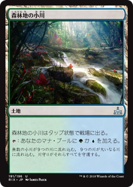 画像1: 【JPN】森林地の小川/Woodland Stream[RIX_191U] (1)