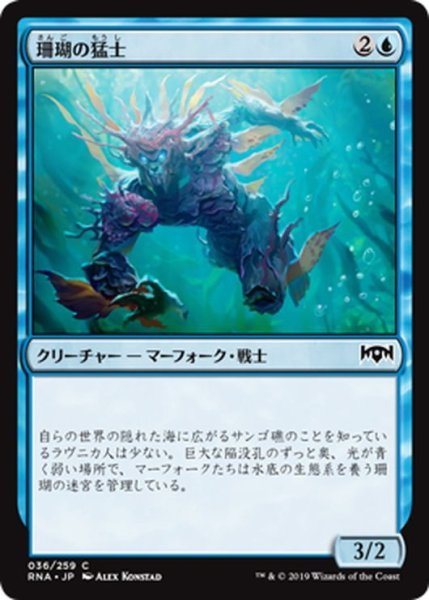 画像1: 【JPN】珊瑚の猛士/Coral Commando[MTG_RNA_036C] (1)