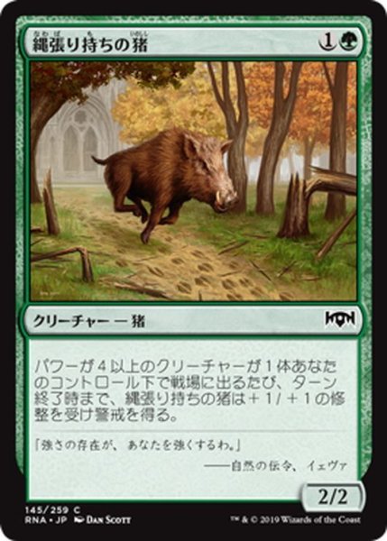 画像1: 【JPN】縄張り持ちの猪/Territorial Boar[MTG_RNA_145C] (1)