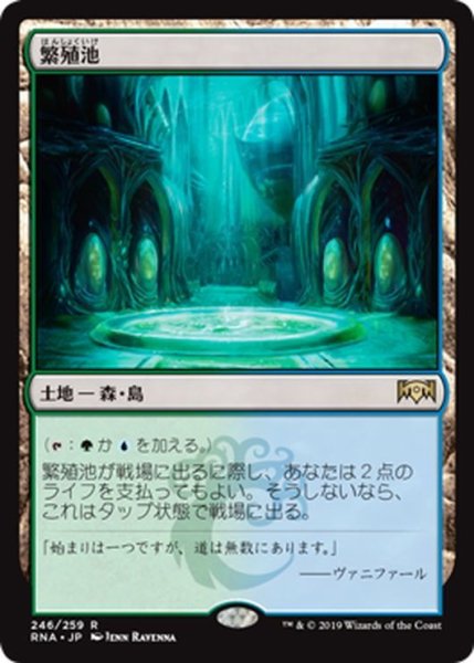 画像1: 【JPN】★Foil★繁殖池/Breeding Pool[MTG_RNA_246R] (1)