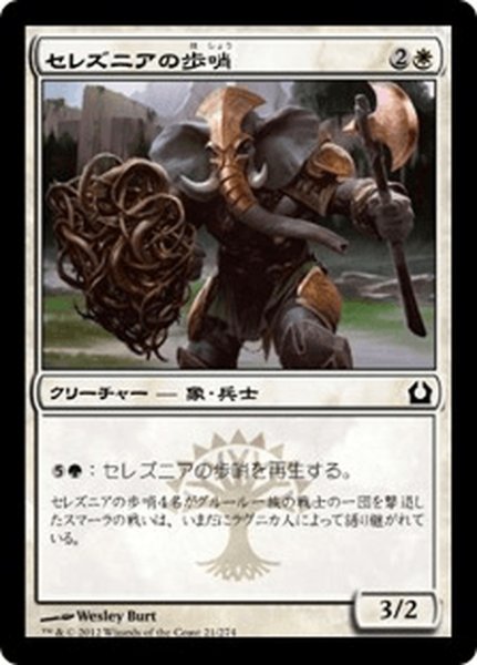 画像1: 【JPN】セレズニアの歩哨/Selesnya Sentry[MTG_RTR_021C] (1)