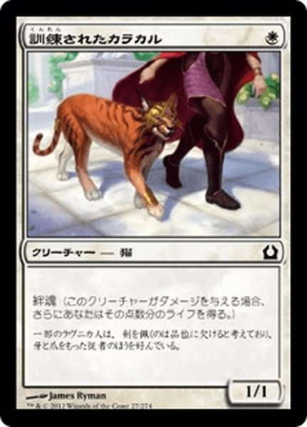 画像1: 【JPN】訓練されたカラカル/Trained Caracal[MTG_RTR_027C] (1)