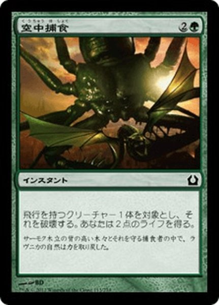 画像1: 【JPN】空中捕食/Aerial Predation[MTG_RTR_113C] (1)