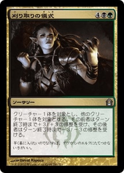 画像1: 【JPN】刈り取りの儀式/Rites of Reaping[MTG_RTR_191U] (1)