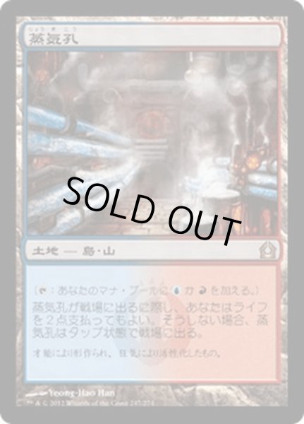 画像1: 【JPN】蒸気孔/Steam Vents[MTG_RTR_247R] (1)