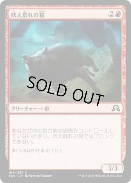 画像1: 【JPN】吠え群れの狼/Howlpack Wolf[MTG_SOI_164C] (1)