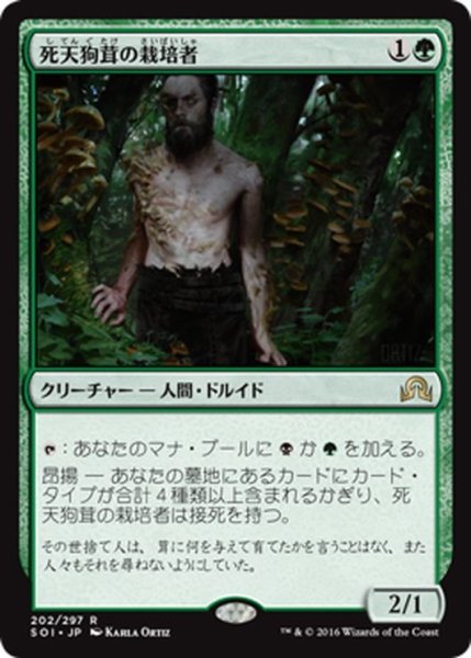 画像1: 【JPN】死天狗茸の栽培者/Deathcap Cultivator[MTG_SOI_202R] (1)