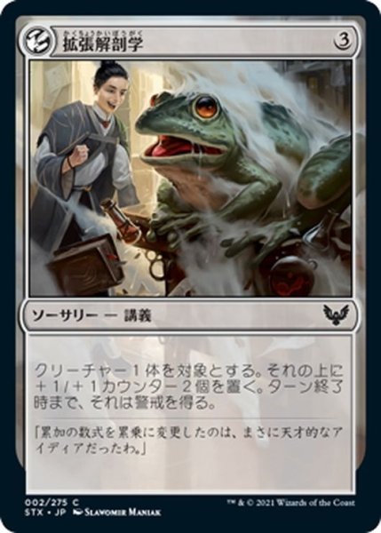 画像1: 【JPN】拡張解剖学/Expanded Anatomy[MTG_STX_002C] (1)