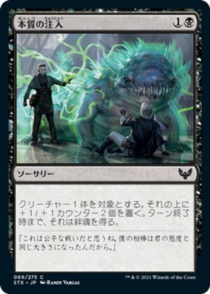 画像1: 【JPN】本質の注入/Essence Infusion[MTG_STX_069C] (1)