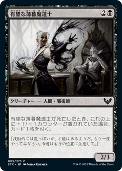 画像1: 【JPN】有望な薄暮魔道士/Promising Duskmage[MTG_STX_085C] (1)