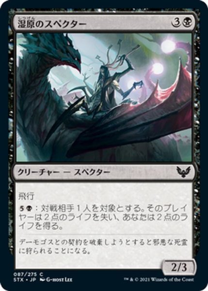 画像1: 【JPN】湿原のスペクター/Specter of the Fens[MTG_STX_087C] (1)