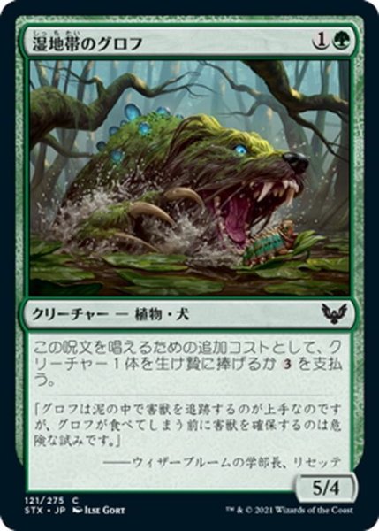 画像1: 【JPN】湿地帯のグロフ/Bayou Groff[MTG_STX_121C] (1)