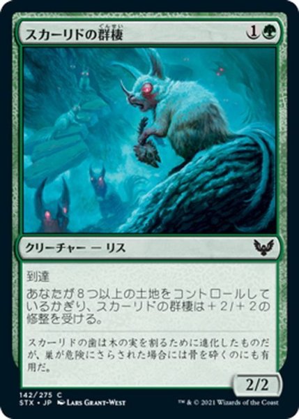 画像1: 【JPN】スカーリドの群棲/Scurrid Colony[MTG_STX_142C] (1)