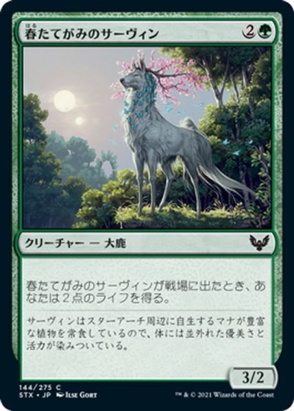 画像1: 【JPN】春たてがみのサーヴィン/Springmane Cervin[MTG_STX_144C] (1)