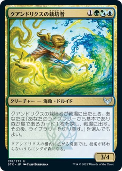 画像1: 【JPN】クアンドリクスの栽培者/Quandrix Cultivator[MTG_STX_218U] (1)