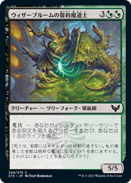 画像1: 【JPN】ウィザーブルームの誓約魔道士/Witherbloom Pledgemage[MTG_STX_249C] (1)