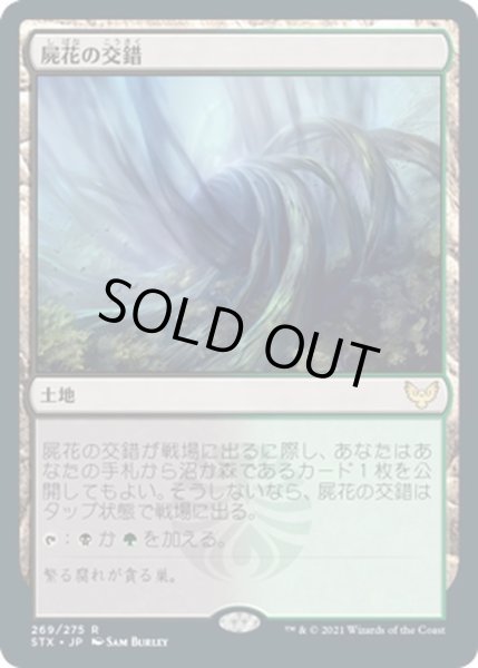 画像1: 【JPN】屍花の交錯/Necroblossom Snarl[MTG_STX_269R] (1)