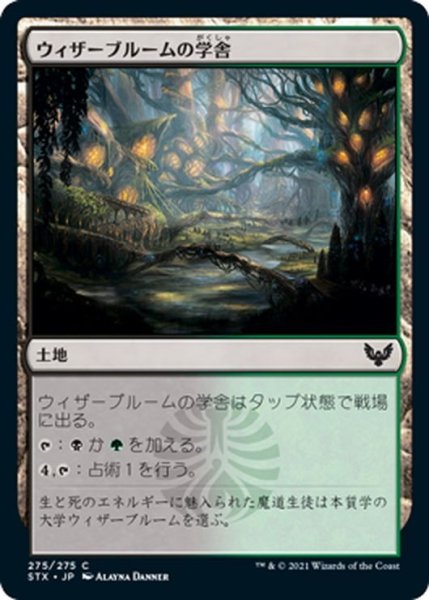 画像1: 【JPN】ウィザーブルームの学舎/Witherbloom Campus[MTG_STX_275C] (1)