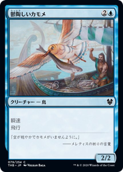 画像1: 【JPN】鬱陶しいカモメ/Vexing Gull[MTG_THB_079C] (1)