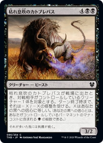 画像1: 【JPN】枯れ息吹のカトブレパス/Blight-Breath Catoblepas[MTG_THB_086C] (1)