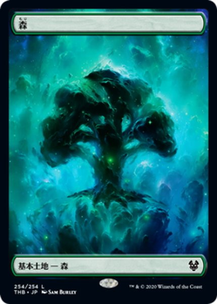 画像1: 【JPN】森/Forest[MTG_THB_254L] (1)